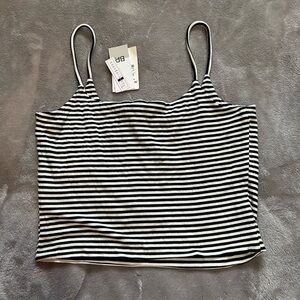 Brass Plum Black and White Striped Women's Crop Top